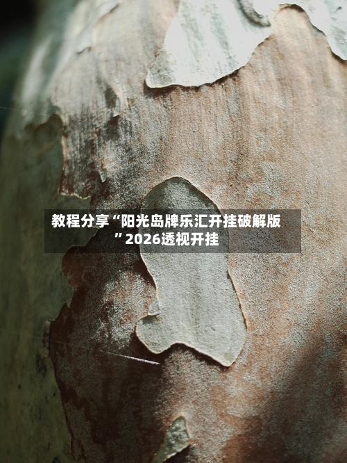 教程分享“阳光岛牌乐汇开挂破解版”2026透视开挂-第2张图片