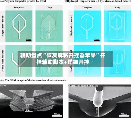 辅助盘点“微友麻将开挂器苹果	”开挂辅助脚本+详细开挂-第2张图片