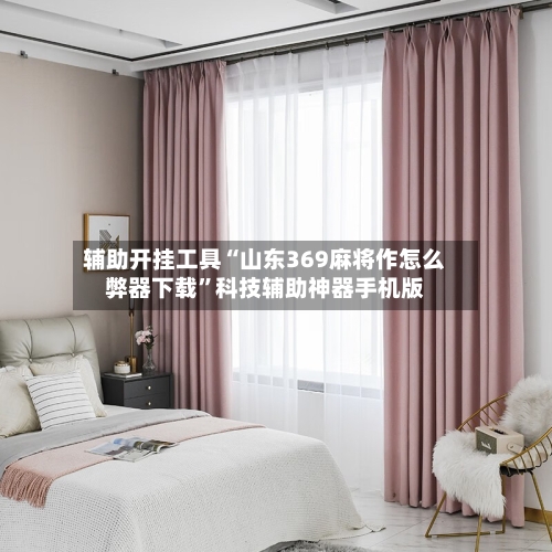 辅助开挂工具“山东369麻将作怎么弊器下载”科技辅助神器手机版-第1张图片