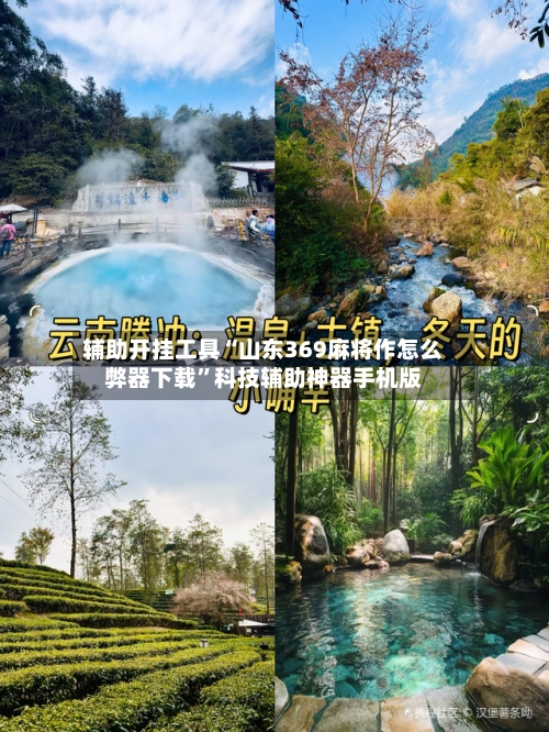 辅助开挂工具“山东369麻将作怎么弊器下载”科技辅助神器手机版-第2张图片