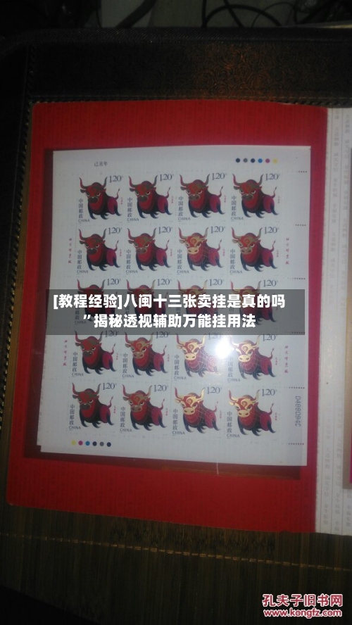 [教程经验]八闽十三张卖挂是真的吗”揭秘透视辅助万能挂用法-第2张图片