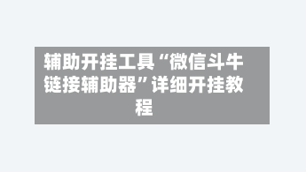 辅助开挂工具“微信斗牛链接辅助器	”详细开挂教程-第2张图片