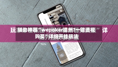 辅助神器“wepoker德州?一键透视购买”详细开挂玩法-第2张图片