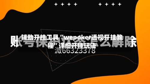 辅助开挂工具“wepoker透视开挂教程”详细开挂玩法-第2张图片