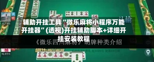 辅助开挂工具“微乐麻将小程序万能开挂器”(透视)开挂辅助脚本+详细开挂安装教程-第2张图片