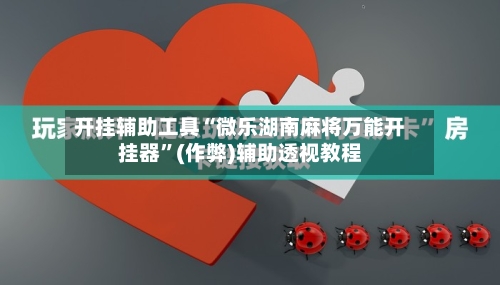 开挂辅助工具“微乐湖南麻将万能开挂器”(作弊)辅助透视教程-第2张图片