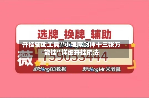 开挂辅助工具“小程序财神十三张万能挂”详细开挂玩法-第2张图片