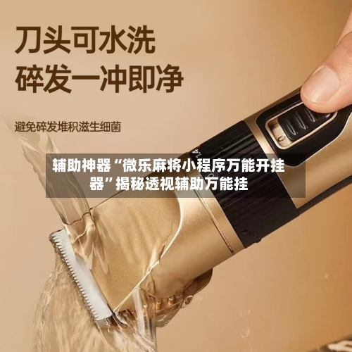 辅助神器“微乐麻将小程序万能开挂器”揭秘透视辅助万能挂-第2张图片