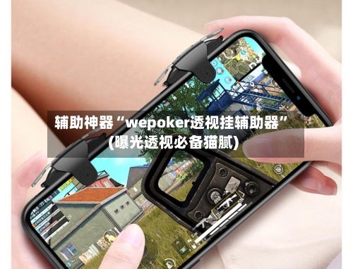 辅助神器“wepoker透视挂辅助器	”(曝光透视必备猫腻)-第1张图片