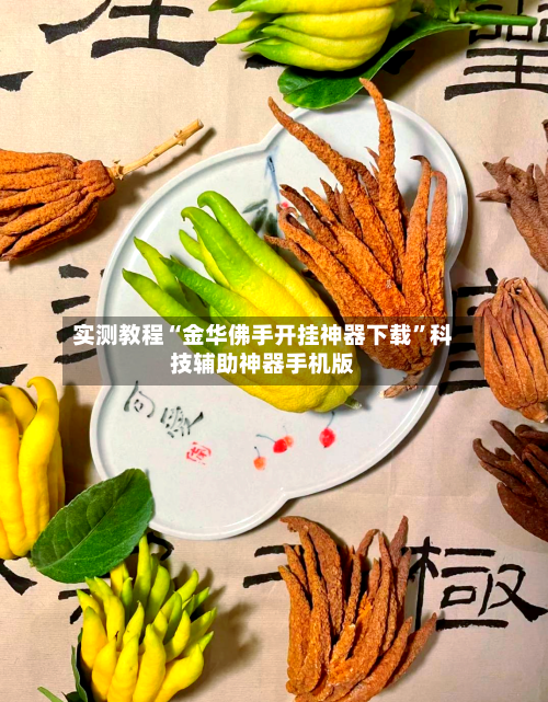 实测教程“金华佛手开挂神器下载”科技辅助神器手机版-第2张图片