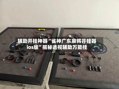 辅助开挂神器“雀神广东麻将开挂器ios版”揭秘透视辅助万能挂-第2张图片