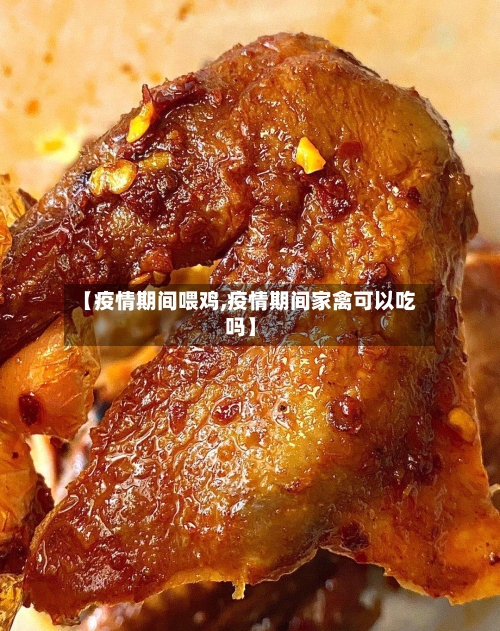 【疫情期间喂鸡,疫情期间家禽可以吃吗】-第2张图片