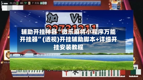 辅助开挂神器“微乐麻将小程序万能开挂器	”(透视)开挂辅助脚本+详细开挂安装教程-第2张图片