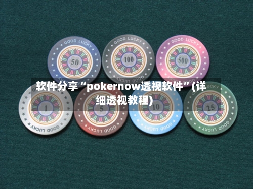软件分享“pokernow透视软件”(详细透视教程)-第1张图片