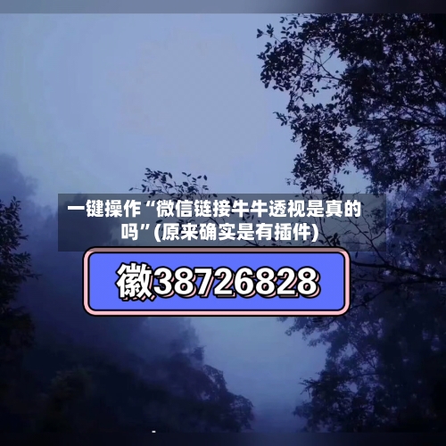 一键操作“微信链接牛牛透视是真的吗”(原来确实是有插件)-第3张图片