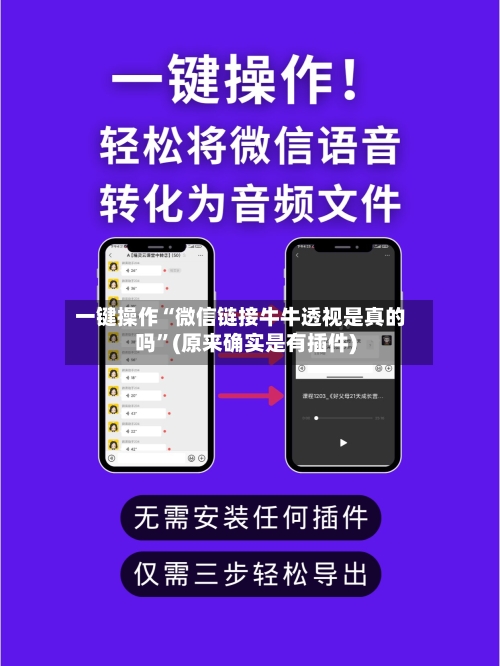 一键操作“微信链接牛牛透视是真的吗”(原来确实是有插件)-第2张图片