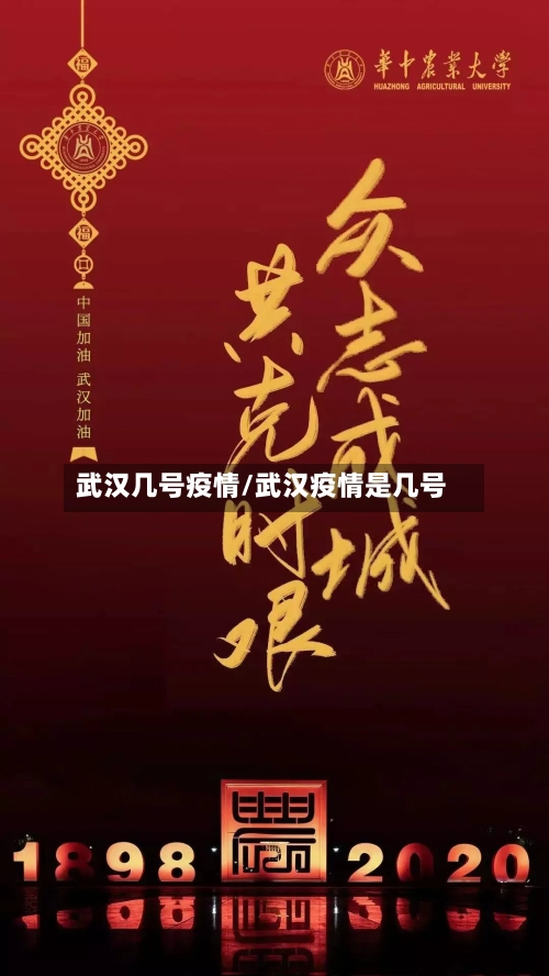 武汉几号疫情/武汉疫情是几号-第2张图片
