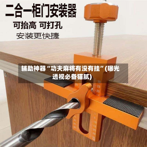 辅助神器“功夫麻将有没有挂”(曝光透视必备猫腻)-第3张图片