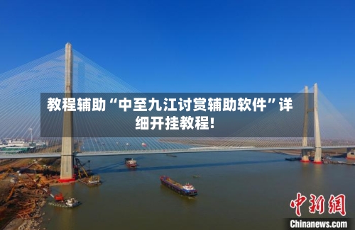 教程辅助“中至九江讨赏辅助软件	”详细开挂教程!-第2张图片