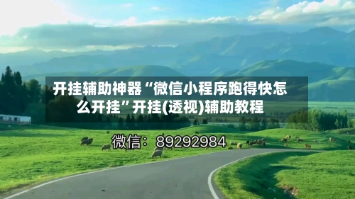 开挂辅助神器“微信小程序跑得快怎么开挂	”开挂(透视)辅助教程-第2张图片