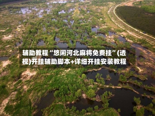 辅助教程“悠闲河北麻将免费挂	”(透视)开挂辅助脚本+详细开挂安装教程-第2张图片