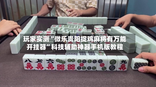 玩家实测“微乐贵阳捉鸡麻将有万能开挂器	”科技辅助神器手机版教程-第2张图片