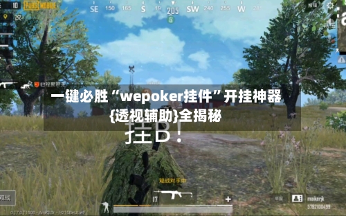 一键必胜“wepoker挂件”开挂神器{透视辅助}全揭秘-第2张图片