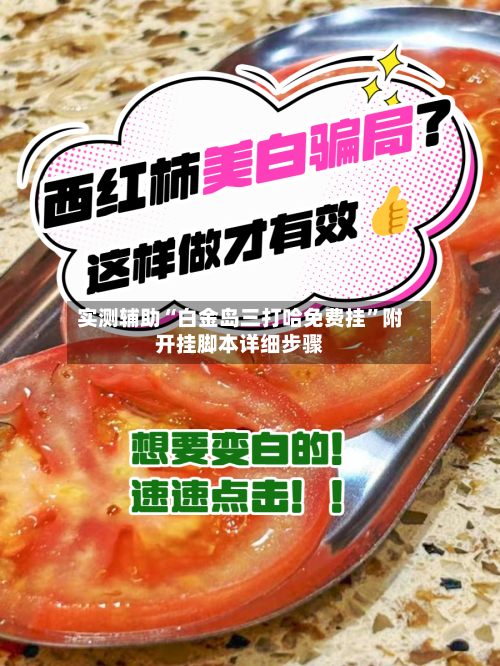 实测辅助“白金岛三打哈免费挂”附开挂脚本详细步骤-第2张图片