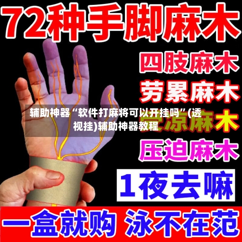 辅助神器“软件打麻将可以开挂吗”(透视挂)辅助神器教程-第3张图片