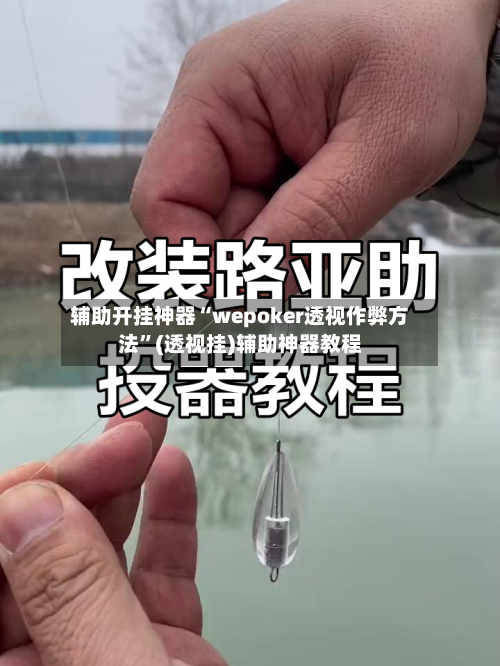 辅助开挂神器“wepoker透视作弊方法”(透视挂)辅助神器教程-第2张图片