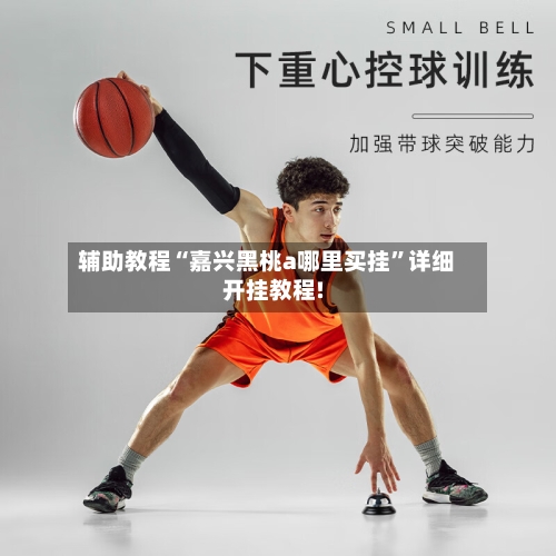 辅助教程“嘉兴黑桃a哪里买挂”详细开挂教程!-第2张图片