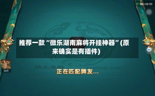 推荐一款“微乐湖南麻将开挂神器	”(原来确实是有插件)-第2张图片