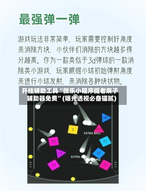 开挂辅助工具“微乐小程序捉老麻子辅助器免费”(曝光透视必备猫腻)-第3张图片