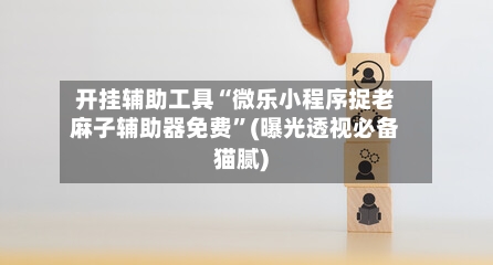 开挂辅助工具“微乐小程序捉老麻子辅助器免费	”(曝光透视必备猫腻)-第2张图片