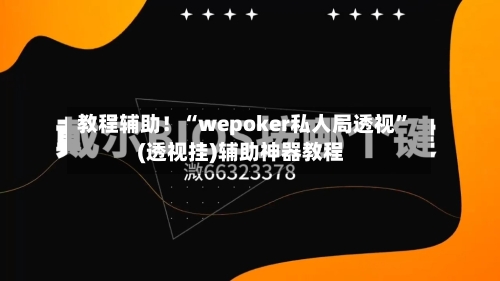 教程辅助！“wepoker私人局透视	”(透视挂)辅助神器教程-第2张图片