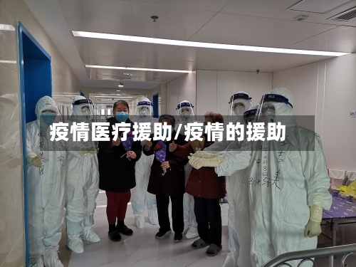 疫情医疗援助/疫情的援助-第2张图片