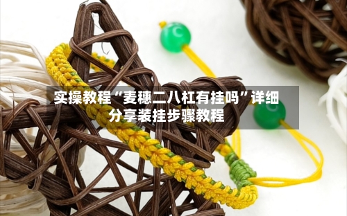 实操教程“麦穗二八杠有挂吗	”详细分享装挂步骤教程-第2张图片