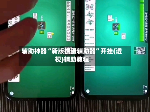 辅助神器“新版掼蛋辅助器”开挂(透视)辅助教程-第2张图片