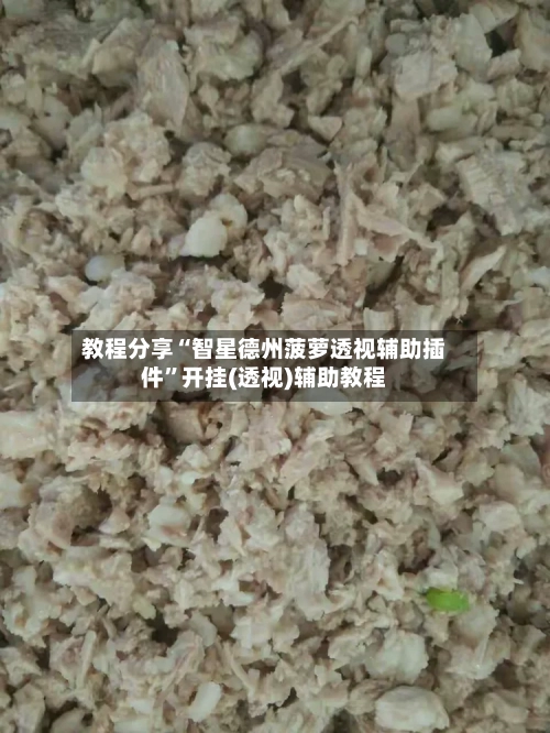 教程分享“智星德州菠萝透视辅助插件”开挂(透视)辅助教程-第1张图片