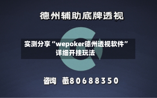 实测分享“wepoker德州透视软件	”详细开挂玩法-第2张图片