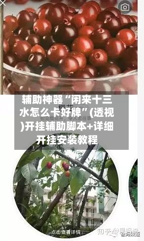 辅助神器“闲来十三水怎么卡好牌	”(透视)开挂辅助脚本+详细开挂安装教程-第2张图片