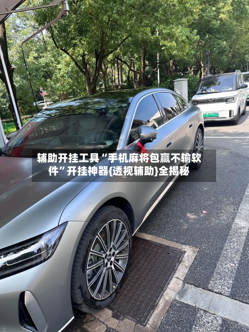 辅助开挂工具“手机麻将包赢不输软件”开挂神器{透视辅助}全揭秘-第2张图片