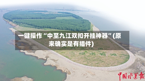 一键操作“中至九江双扣开挂神器	”(原来确实是有插件)-第2张图片