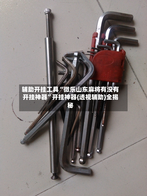 辅助开挂工具“微乐山东麻将有没有开挂神器	”开挂神器{透视辅助}全揭秘-第2张图片