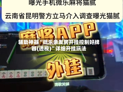 辅助神器“微乐亲友房开挂控制好牌器(透视)”详细开挂玩法-第2张图片