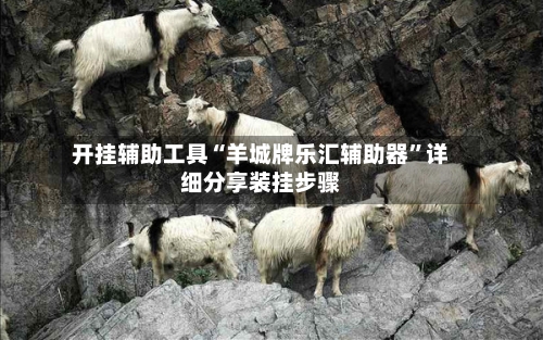 开挂辅助工具“羊城牌乐汇辅助器”详细分享装挂步骤-第2张图片