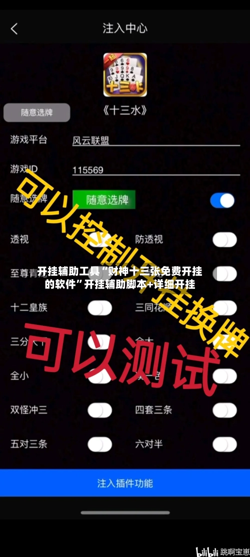 开挂辅助工具“财神十三张免费开挂的软件	”开挂辅助脚本+详细开挂-第1张图片