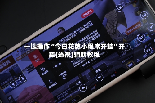 一键操作“今日花牌小程序开挂”开挂(透视)辅助教程-第3张图片