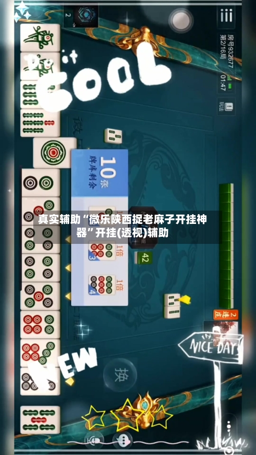 真实辅助“微乐陕西捉老麻子开挂神器”开挂(透视)辅助-第2张图片