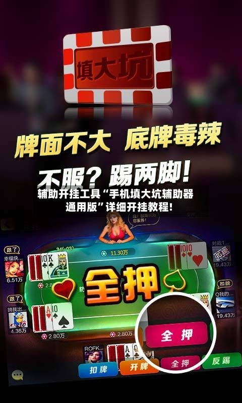 辅助开挂工具“手机填大坑辅助器通用版”详细开挂教程!-第3张图片